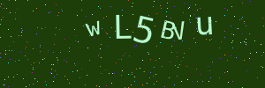 Validation image