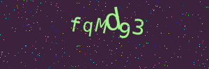 Validation image