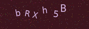Validation image