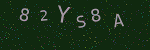 Validation image
