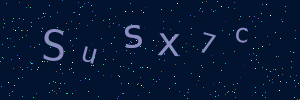 Validation image
