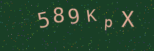 Validation image