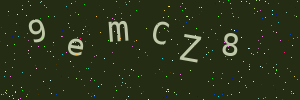 Validation image