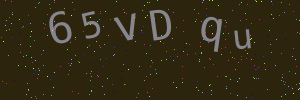 Validation image